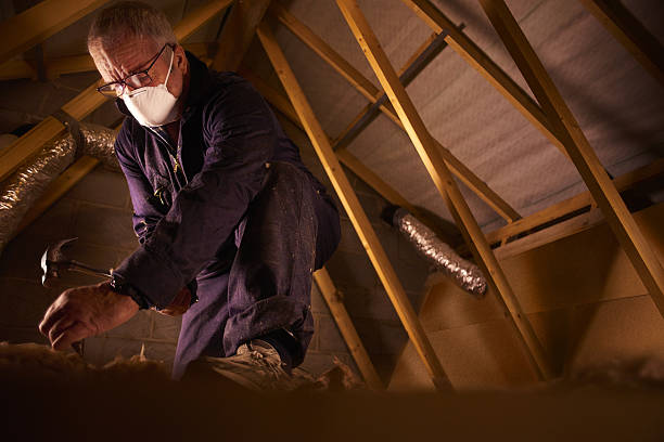 Best Eco-Friendly Insulation in Oneonta, NY