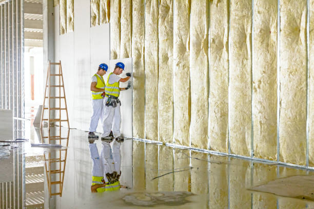 Best Insulation Maintenance and Repair in Oneonta, NY